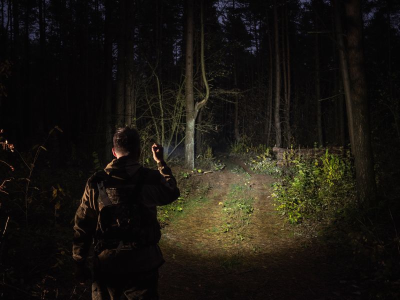 Armytek Viking Pro Magnet USB Kaltweiß / Warmweiß