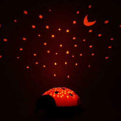 Sternenlicht Marienkäfer